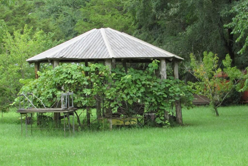 Berrybramble Cottage Talihina エクステリア 写真